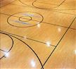 EcoSport Wood Flooring for Basketball, and more!
